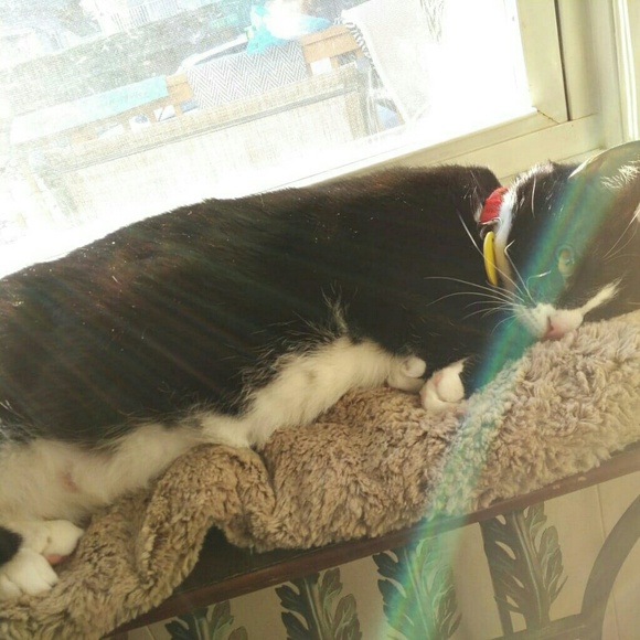 Meet Your Posher,  Summer - Picture 4 of 4